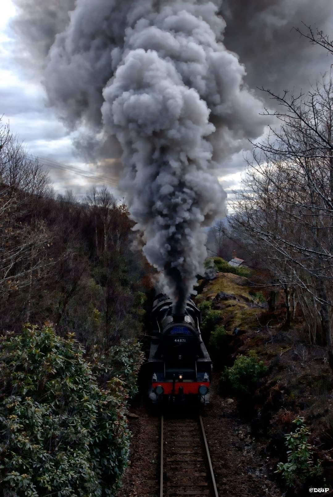 Did you Miss Me? by Phil Cooper 